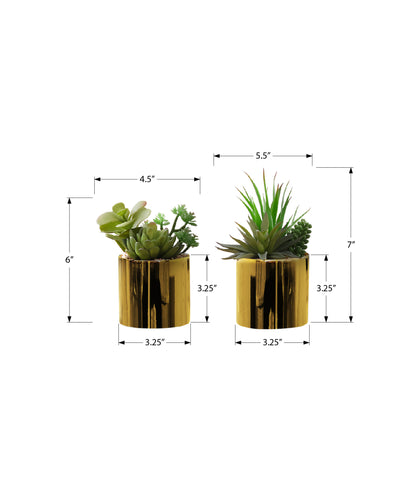 Faux Succulent Plants in Glossy Gold Pots - Set of 2