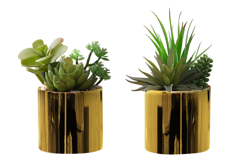 Faux Succulent Plants in Glossy Gold Pots - Set of 2