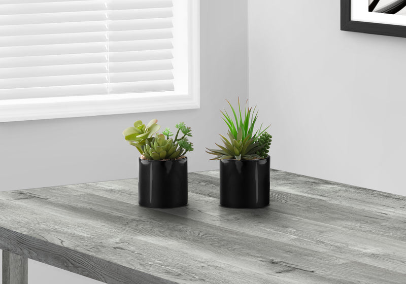 Set of 2 Artificial Succulent Plants in Glossy Black Pots - 7" Tall