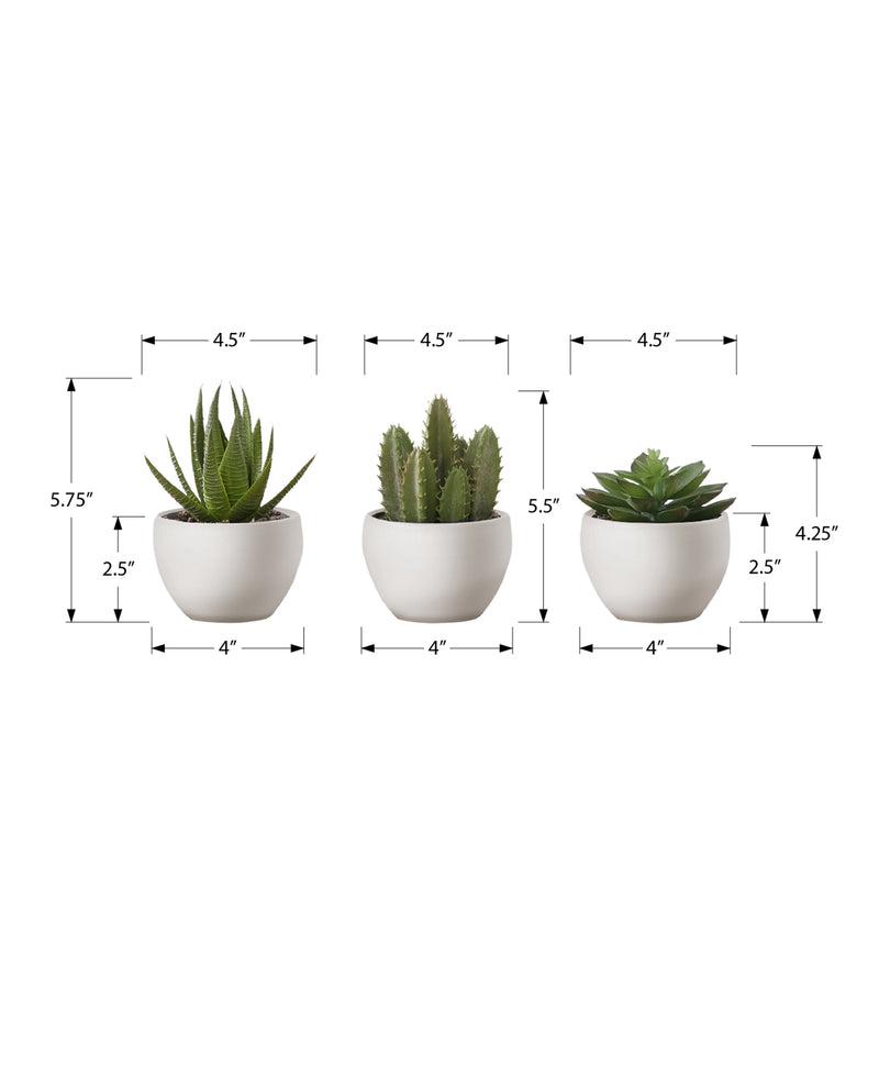 6" Tall Artificial Succulent Plants Set of 3 in White Pots - Faux Indoor Greenery Décor