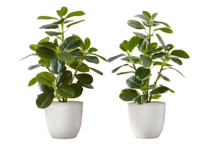 Set of 2 Faux Ficus Artificial Plants, 14" Tall, Indoor Greenery Décor