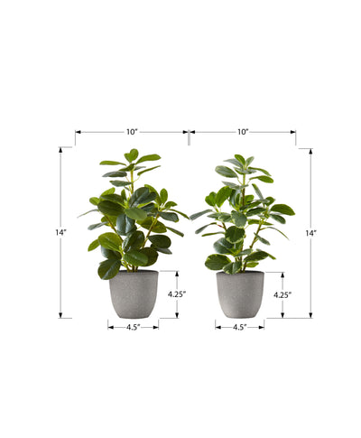 Set of 2 14" Tall Faux Ficus Artificial Plants in Grey Pots - Indoor Decorative Greenery