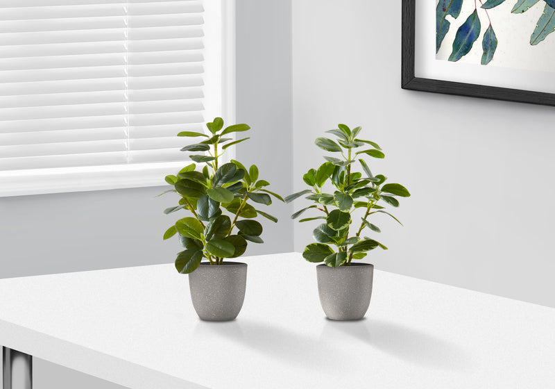 Set of 2 14" Tall Faux Ficus Artificial Plants in Grey Pots - Indoor Decorative Greenery