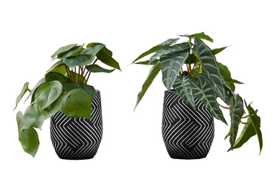 Faux Alocasia Plant Set of 2, 8" Tall Indoor Artificial Greenery in Black Cement Pots