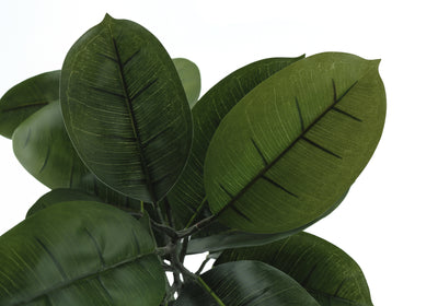 52" Tall Rubber Tree - Indoor Faux Plant, Real Touch, Decorative Greenery