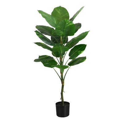 54" Dieffenbachia Tree: Real Touch, Perfect Decorative Floor Greenery