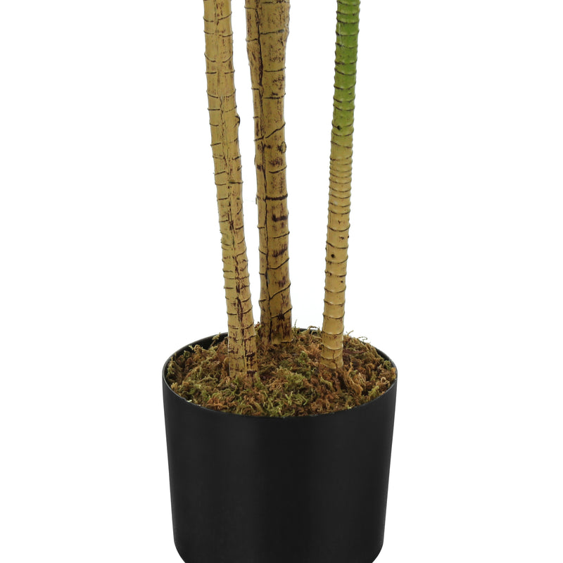 51" Dracaena Tree: Real Touch Green Leaves - Perfect Decorative Floor Greenery