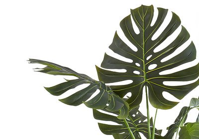 55" Tall Monstera Tree: Realistic Artificial Plant with Green Leaves, Perfect for Indoor Decor