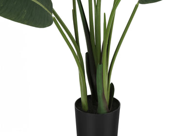 60" Tall Bird Of Paradise Tree: Black Pot - Perfect for adding a touch of nature to any space!