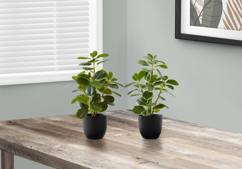 Set of 2 Faux Indoor Ficus Plants - 14" Tall, Green Leaves, Black Pots -  Decorative Table Greenery