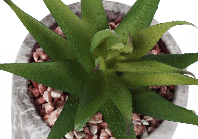 Set of 2 Faux Succulent Plants - 6" Tall Indoor Decorative Greenery with Grey Cement Pots