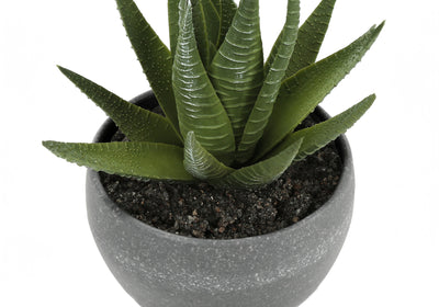 Faux Succulent Set - 6" Tall, Indoor, Greenery, Potted - Set of 3 with Grey Cement Pots