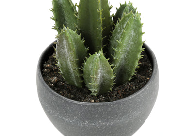 Faux Succulent Set - 6" Tall, Indoor, Greenery, Potted - Set of 3 with Grey Cement Pots